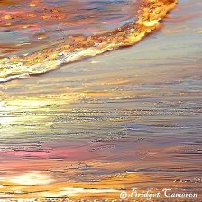 golden surf by Bridget Cameron
