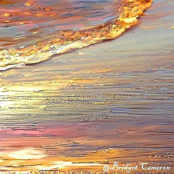 golden surf by Bridget Cameron